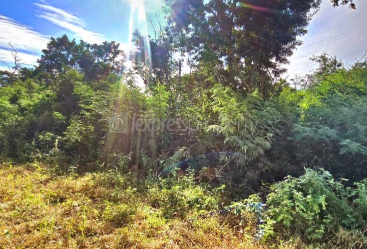 Commercial land - Buy in Pailles - 86,700,000 rupees | Lexpress Property