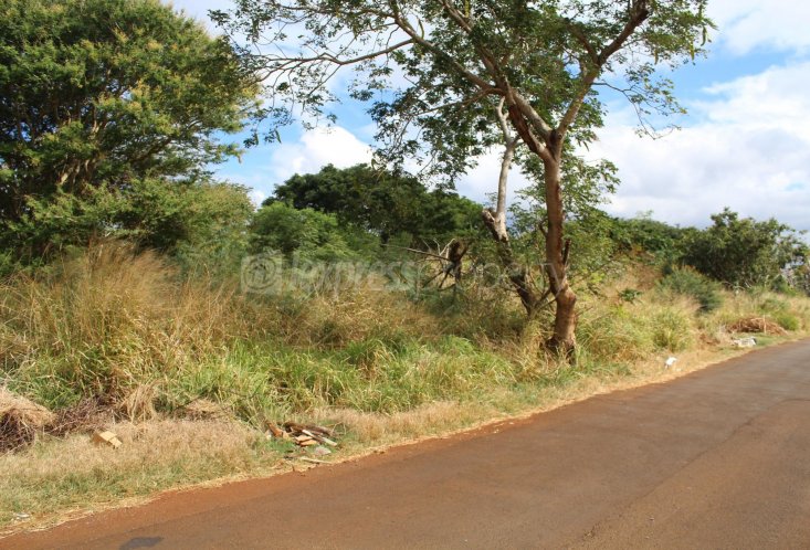 Commercial land - 4220 m²