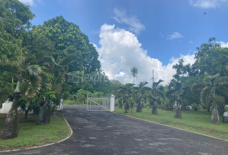 Entrepôt - 2278 m²