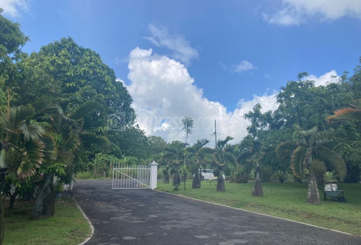 Entrepôt - 2278 m²