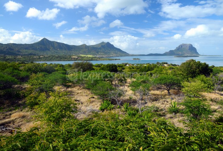House / Villa - 3 Bedrooms - 204 m²