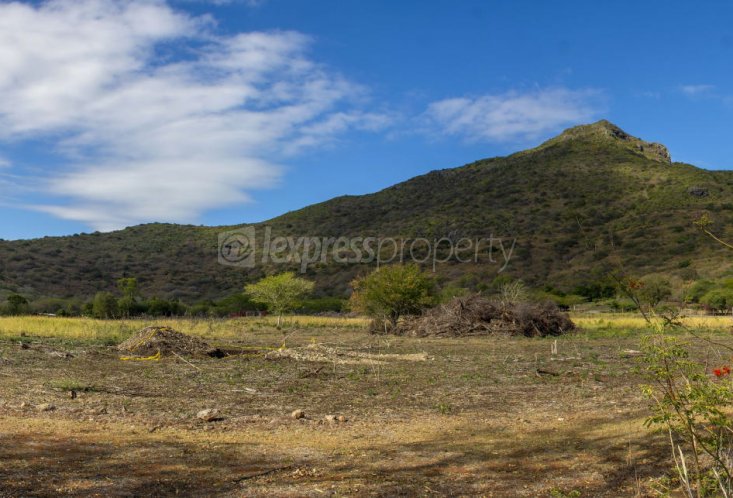 House / Villa - 3 Bedrooms - 374 m²