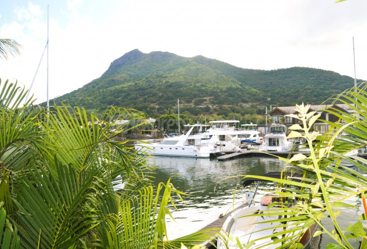 House / Villa - 5 Bedrooms - 360 m²