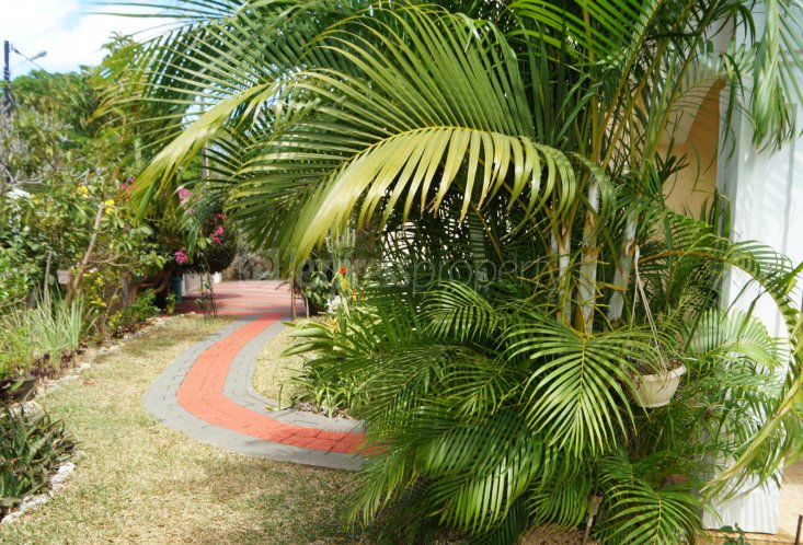Maison/Villa - 6 chambres - 358 m²