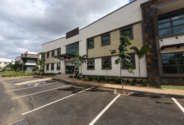 Office - 451 m²