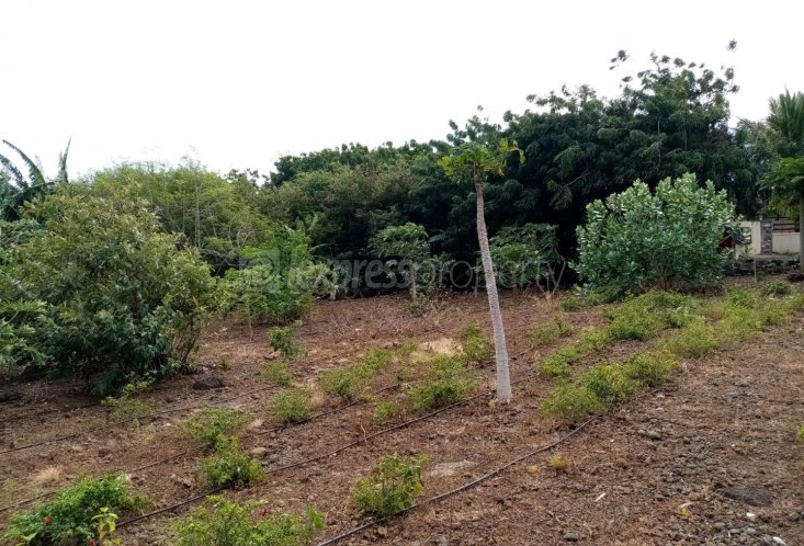 Residential land - 1022 m²