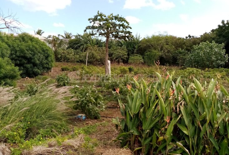 Residential land - 1022 m²