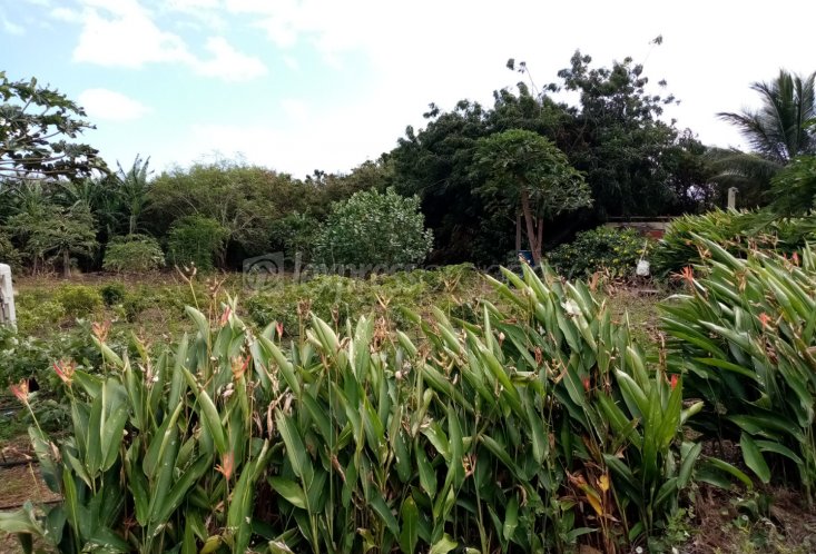 Residential land - 1022 m²
