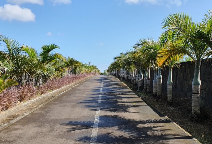 Residential land - 1022 m²