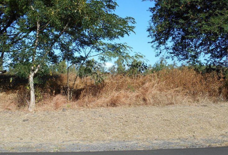 Residential land - 1539 m²