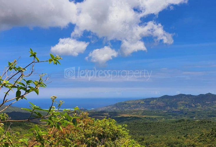 Residential land - 16885 m²