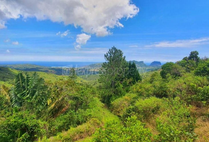 Residential land - 16885 m²