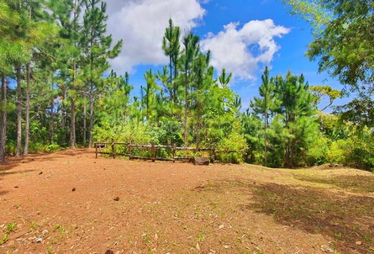 Residential land - 16885 m²