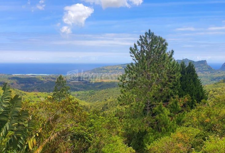 Residential land - 16885 m²