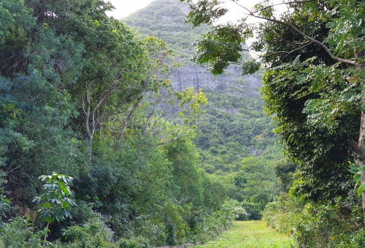 Residential land - 2110 m²