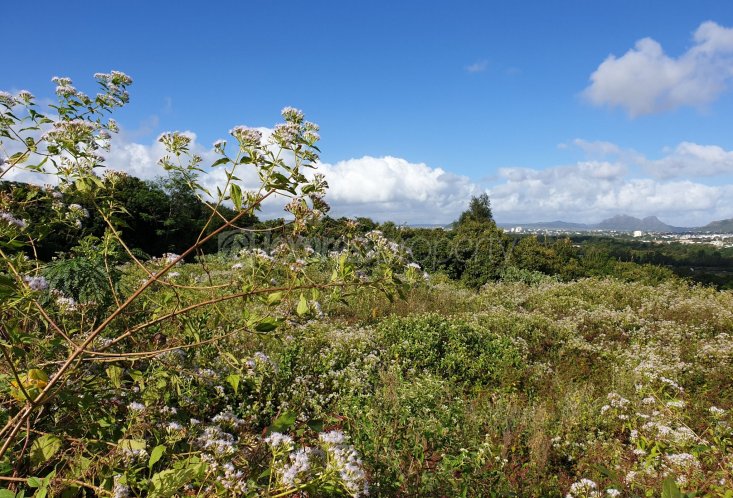 Residential land - 2110 m²