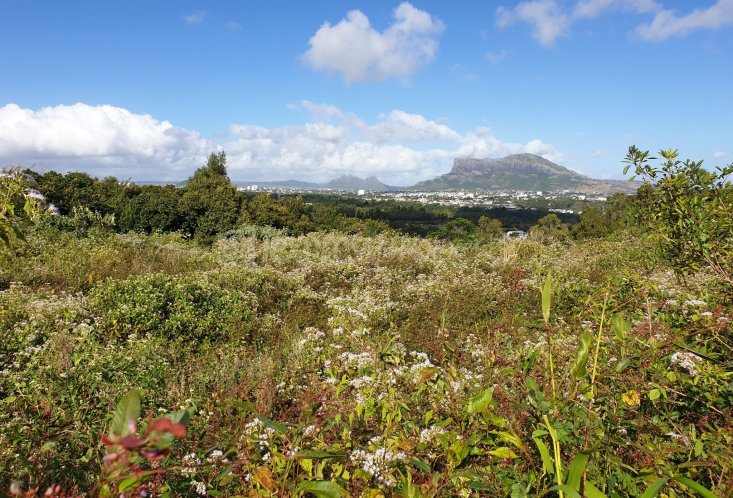 Residential land - 2110 m²