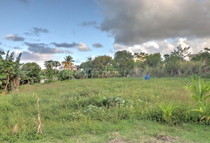 Residential land - 2321 m²