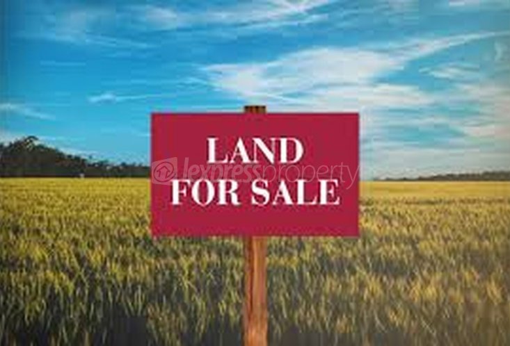 Residential land - Buy in Mont Mascal - Price N/D | Lexpress Property