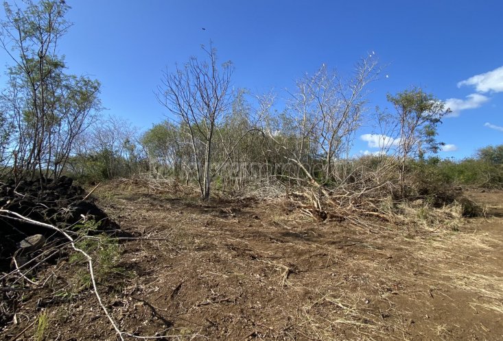 Terrain agricole - 4226 m²