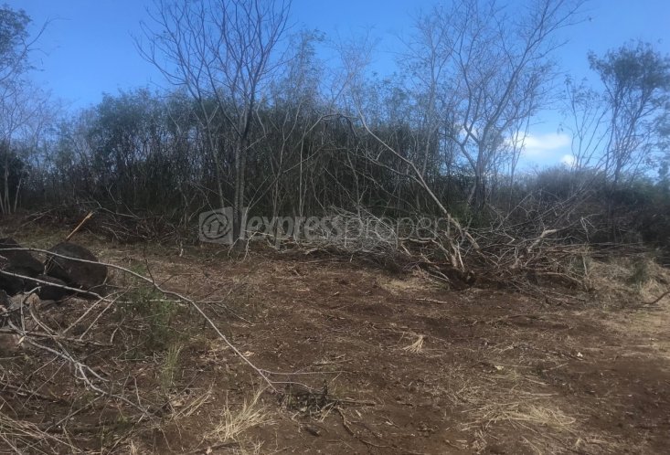 Terrain agricole - 4226 m²
