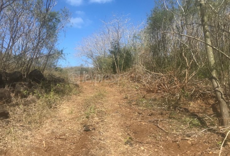 Terrain agricole - 4226 m²