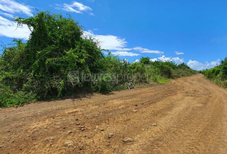 Terrain agricole - 5408 m²