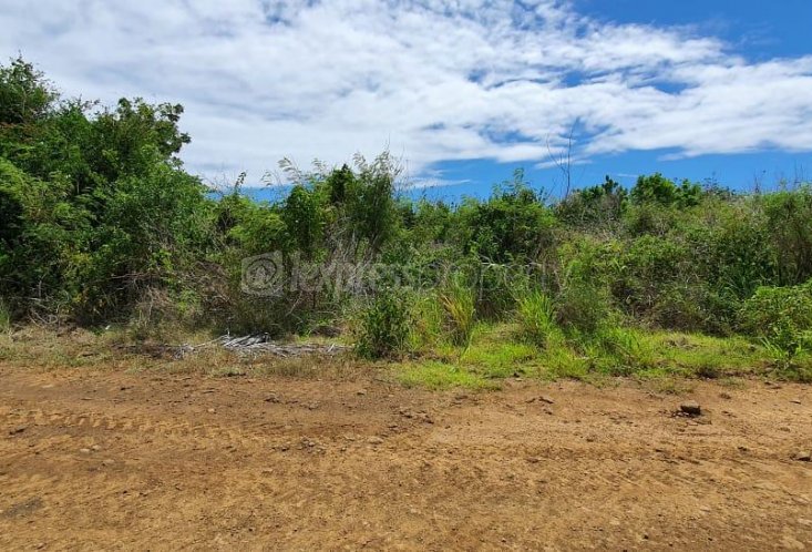 Terrain agricole - 5408 m²