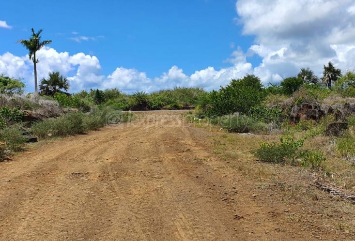 Terrain agricole - 5408 m²