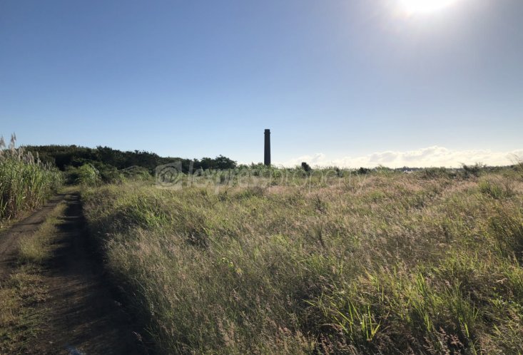 Terrain agricole - 6262 m²