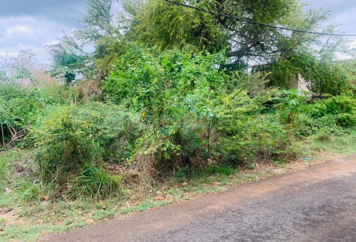 Terrain résidentiel - 1055 m²