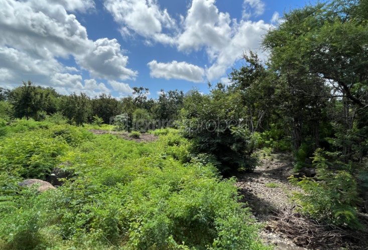 Terrain résidentiel - 2127 m²
