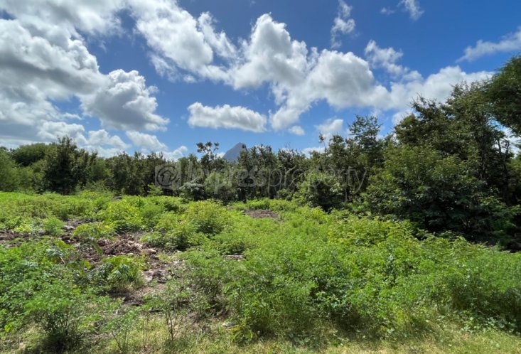 Terrain résidentiel - 2127 m²