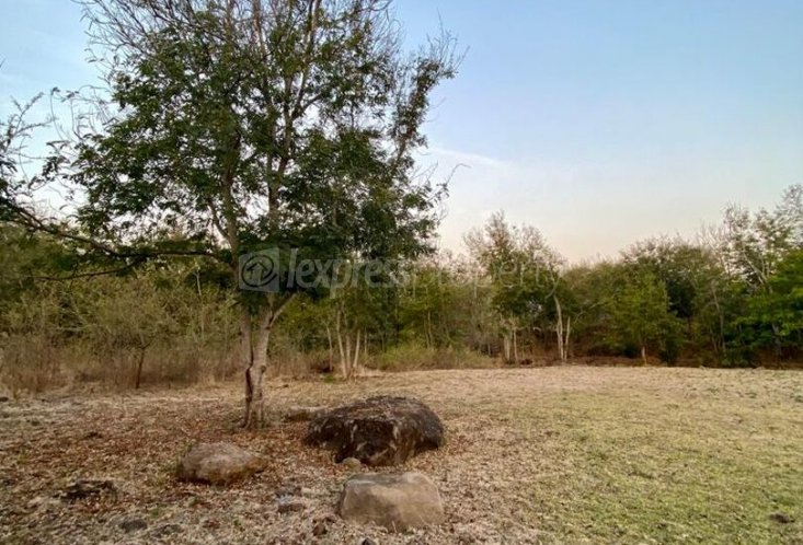 Terrain résidentiel - 2127 m²