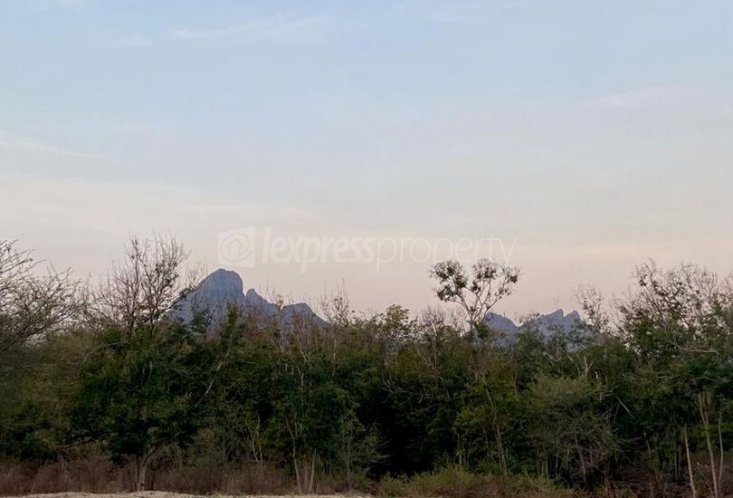Terrain résidentiel - 2127 m²