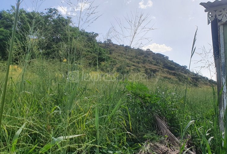 Terrain résidentiel - 2211 m²