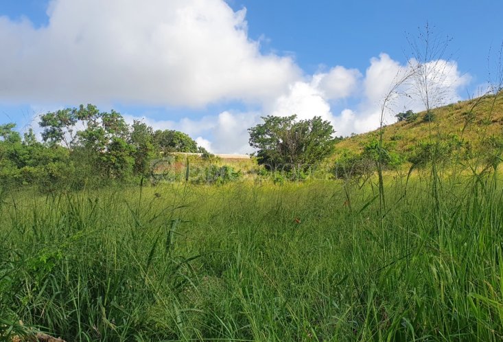 Terrain résidentiel - 2211 m²
