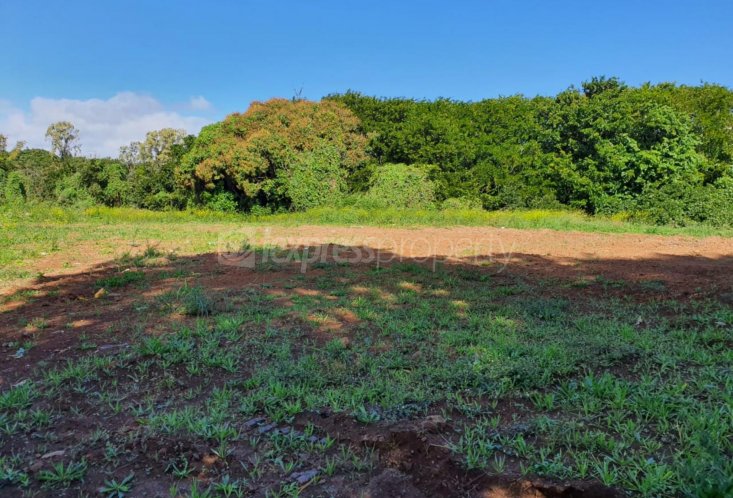 Terrain résidentiel - 23810 m²