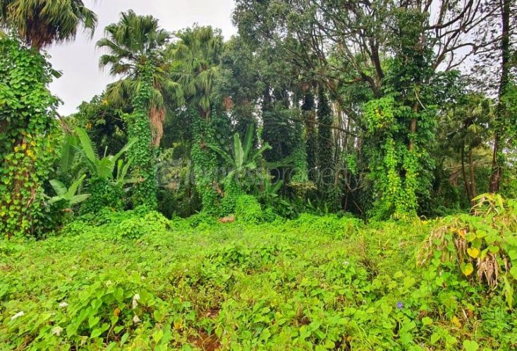 Terrain résidentiel - 2505 m²