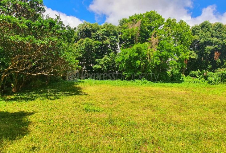 Terrain résidentiel - 5332 m²