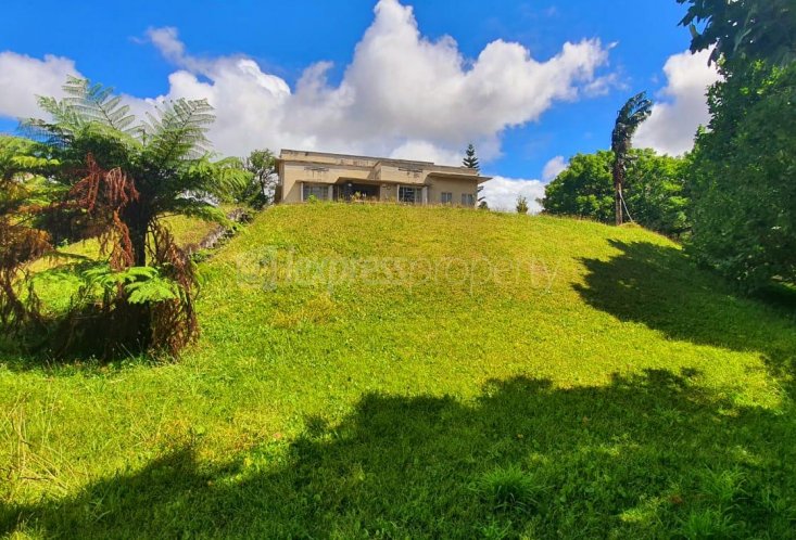 Terrain résidentiel - 5332 m²