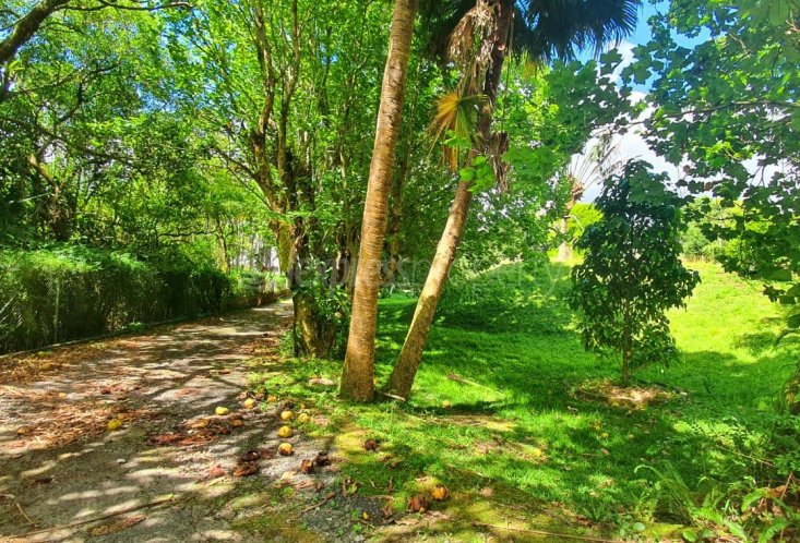 Terrain résidentiel - 5332 m²