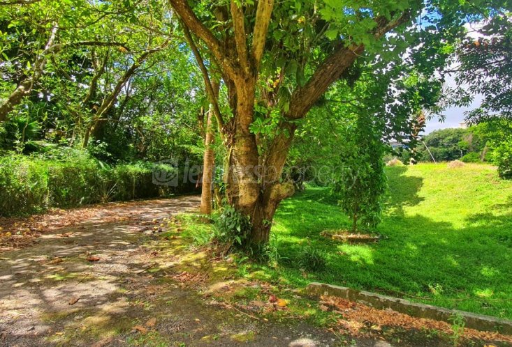 Terrain résidentiel - 5332 m²