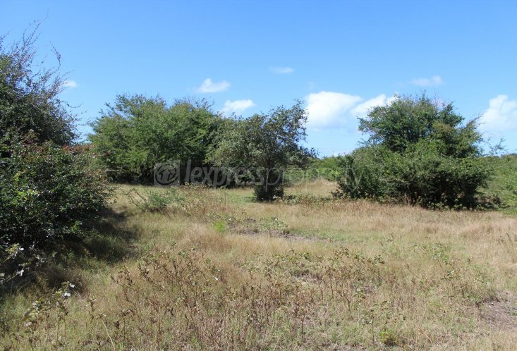 Terrain résidentiel - 5611 m²