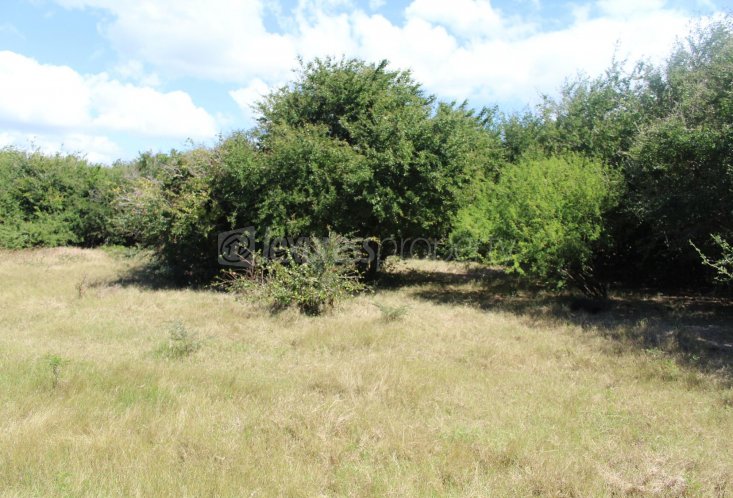 Terrain résidentiel - 5611 m²