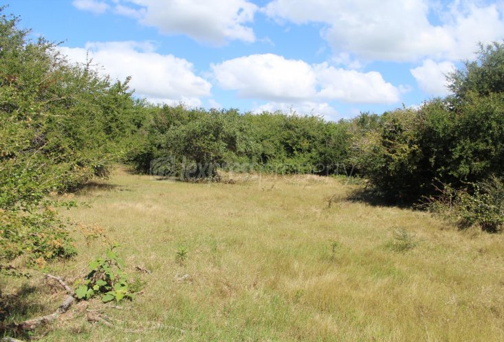 Terrain résidentiel - 5611 m²