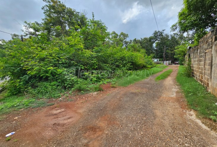 Terrain résidentiel - 8126 m²
