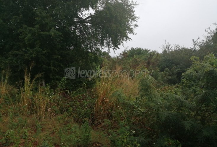 Terrain résidentiel - 8441 m²