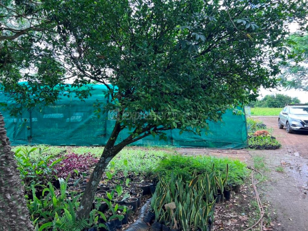 Residential land Buy in Espérance Trébuchet 2,800,000 rupees Lexpress Property